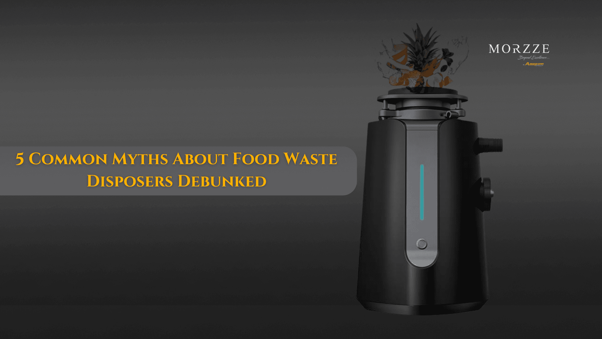5 common myths about food waste disposers debunked